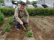 今年もフラミンゴ農園に野菜の種を撒きました。利用者様にお手伝い頂きました!!!